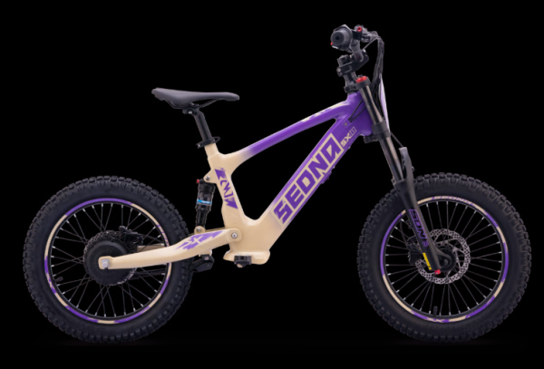 Elektro Apollo Fahrrad Sedna SX 18"